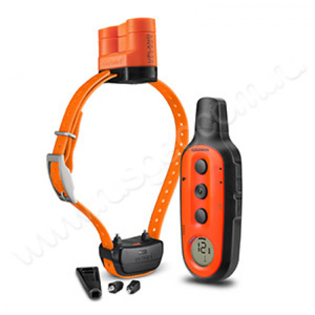 Система дрессировки собак Garmin DELTA Upland XC Bundle