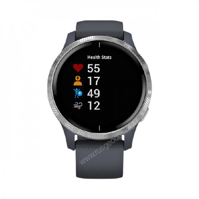 Часы Garmin Venu синий гранит с серебристым безелем